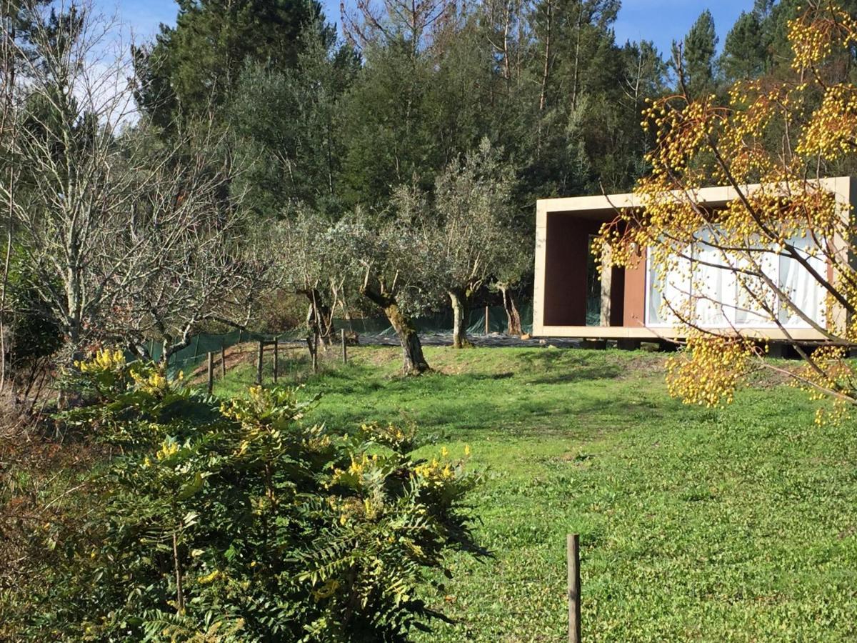 Adore Portugal Bungalow Natureza & Vista De Serra Lousã Buitenkant foto