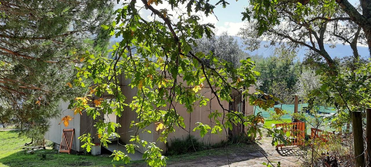 Adore Portugal Bungalow Natureza & Vista De Serra Lousã Buitenkant foto